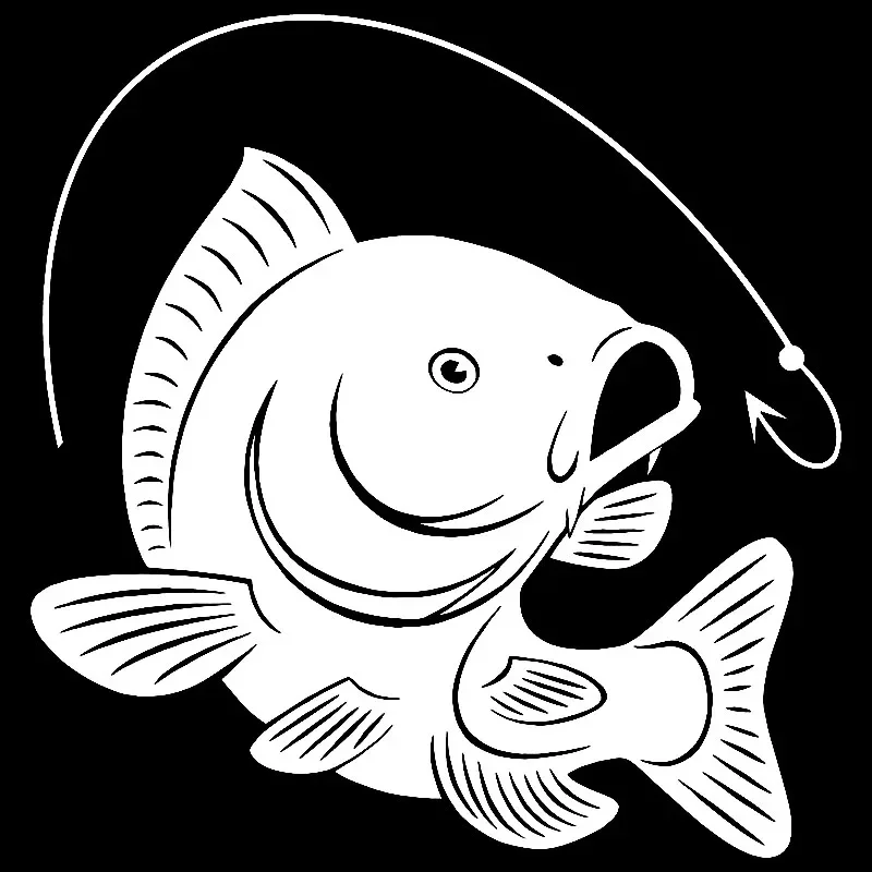 Carp Fishing Hook Decal Decora - Fishing Hook recension och pris